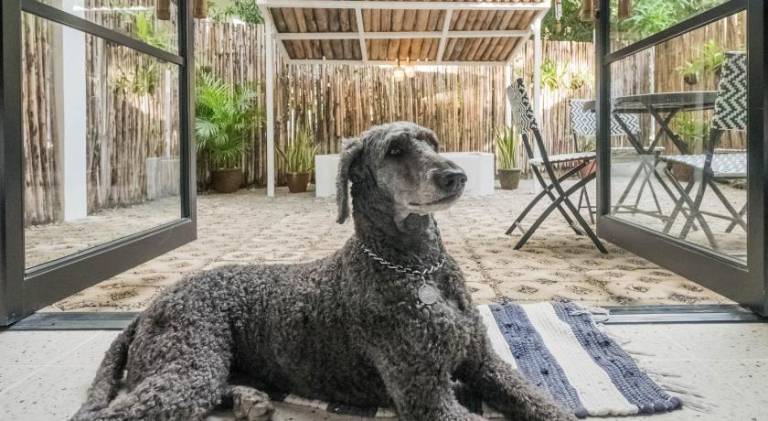 Charming apartment | Pet-friendly in Morong