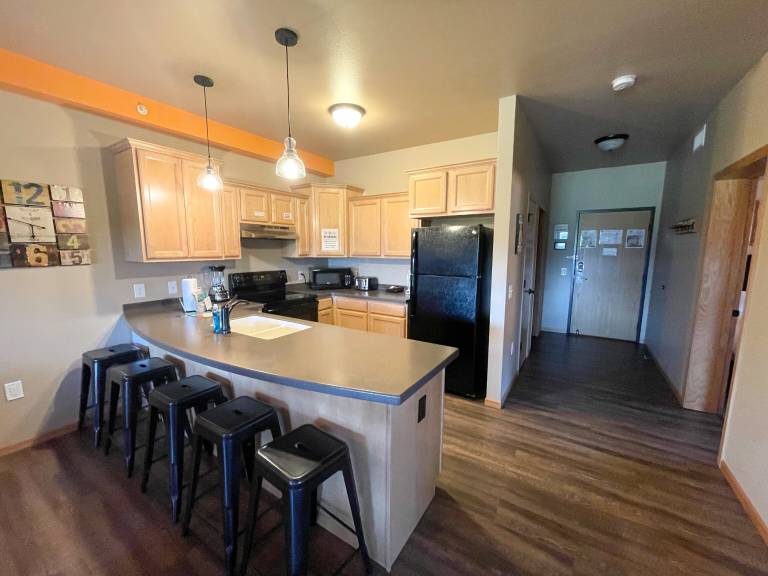 Condo  Wisconsin Dells