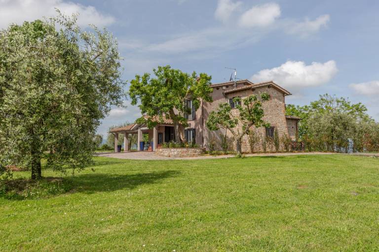 Farm with yard & pool | Panoramic view — photo 2
