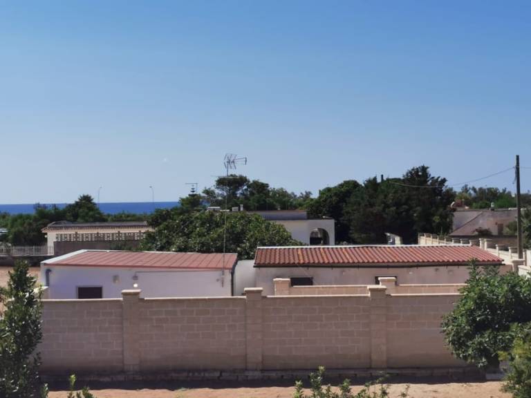 foto2