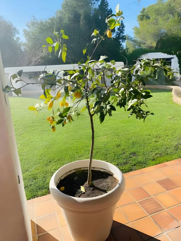 foto24