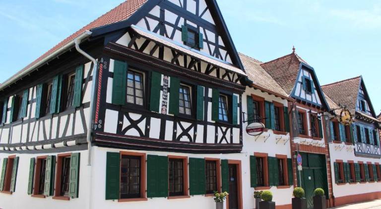foto2