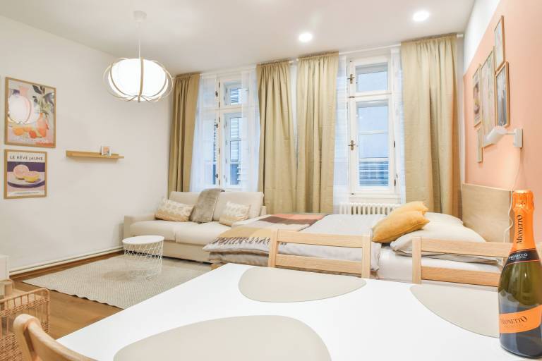 Apartment Olomouc