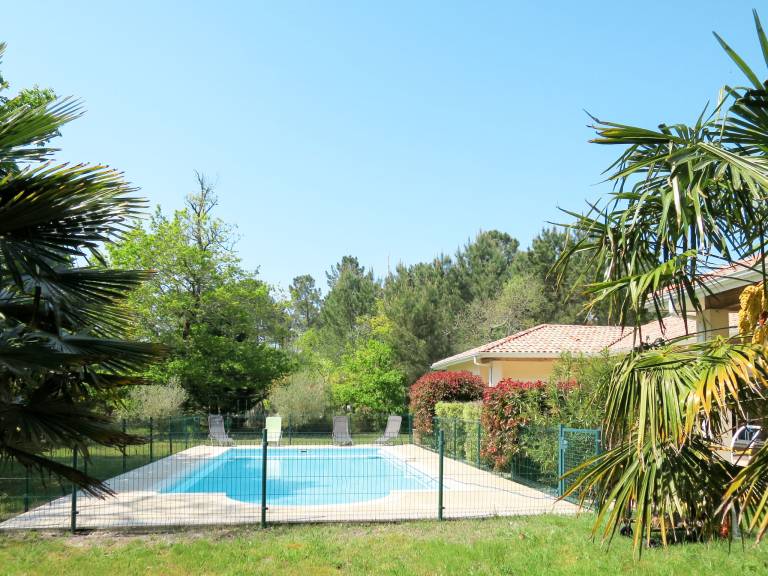 foto2