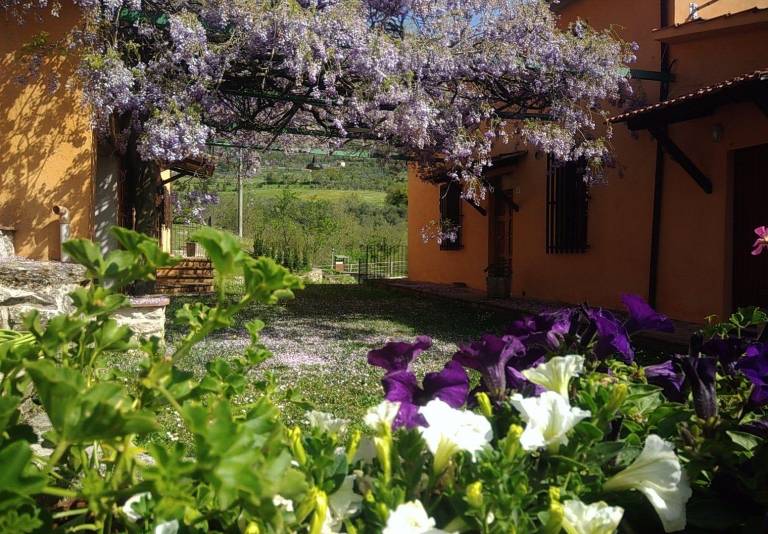 foto8