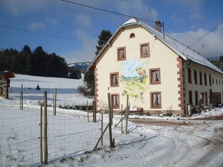 foto5