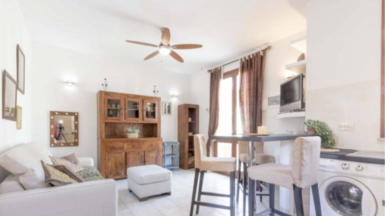 New two room Giulia just outside the village of Marina di Campo — photo 4