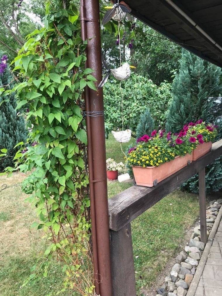 foto18