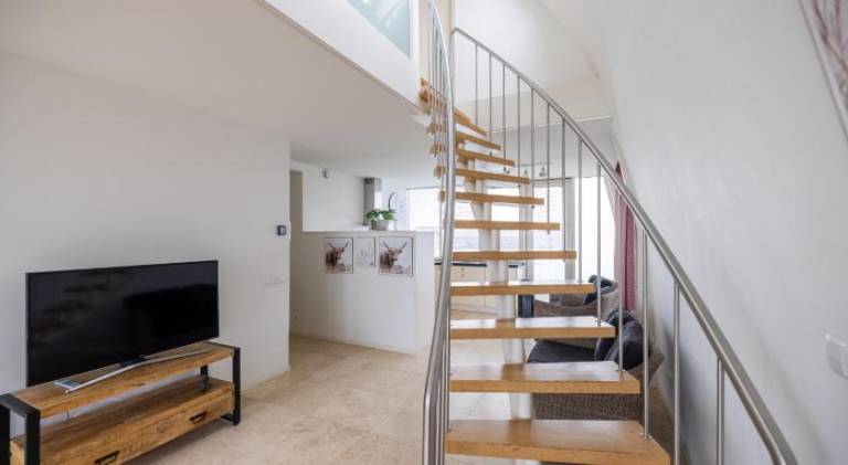 Holiday apartment | Close to the beach | Dogs allowed — photo 4