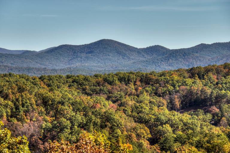 Eagles View — photo 3