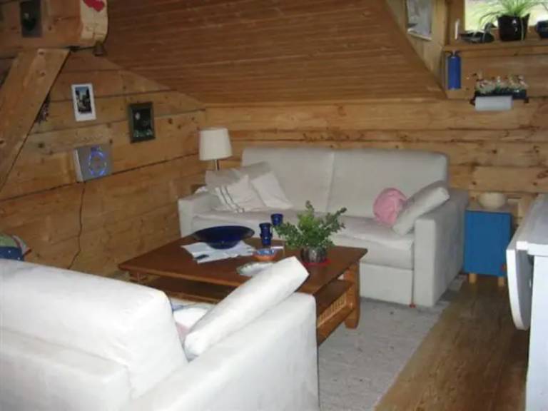 Children-friendly rental apartment with barbeque & terrace | Close to the ski | Pet-friendly — photo 5