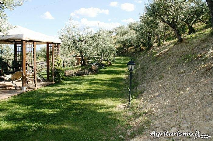 Agriturismo Il Corbezzolo: Camera gialla — photo 5