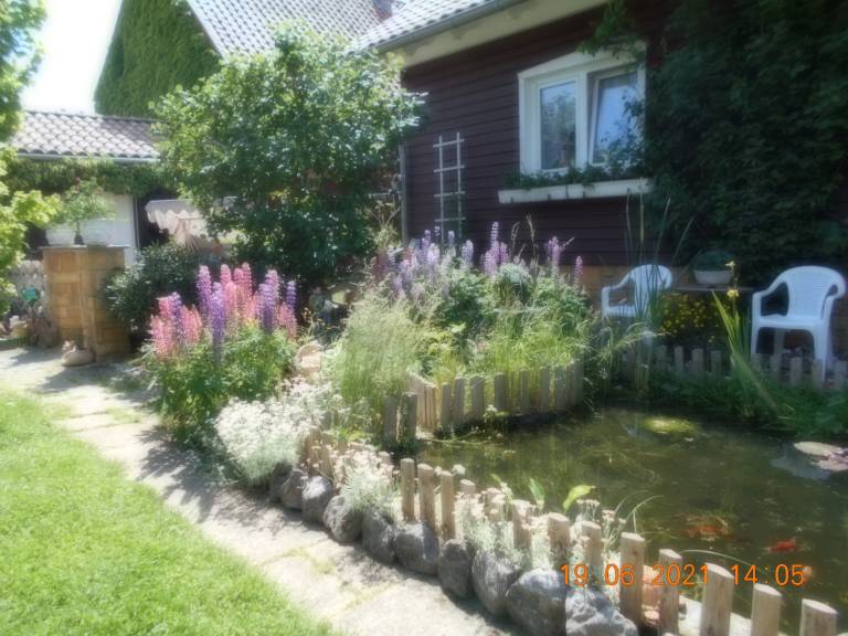 foto9