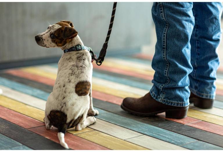 foto17