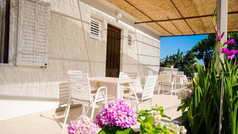Apartman Molunat