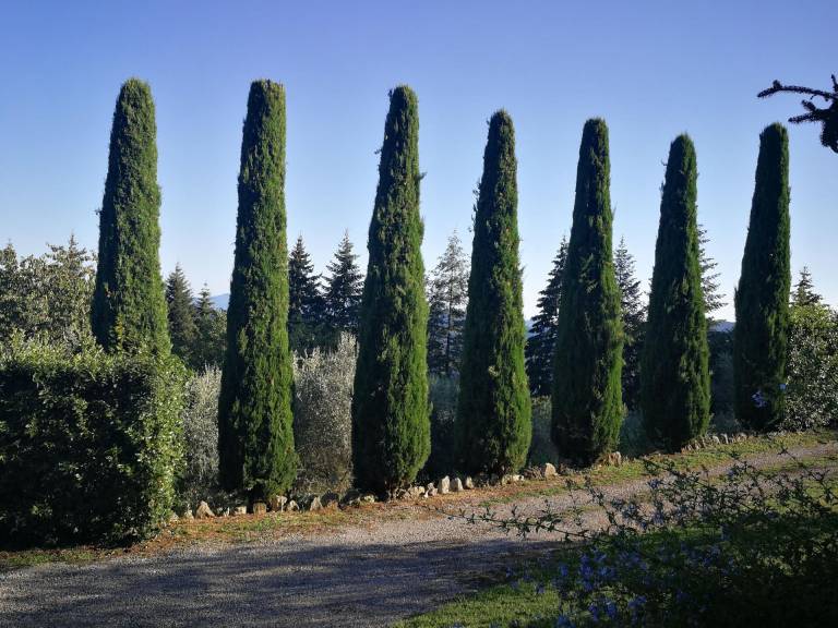foto10