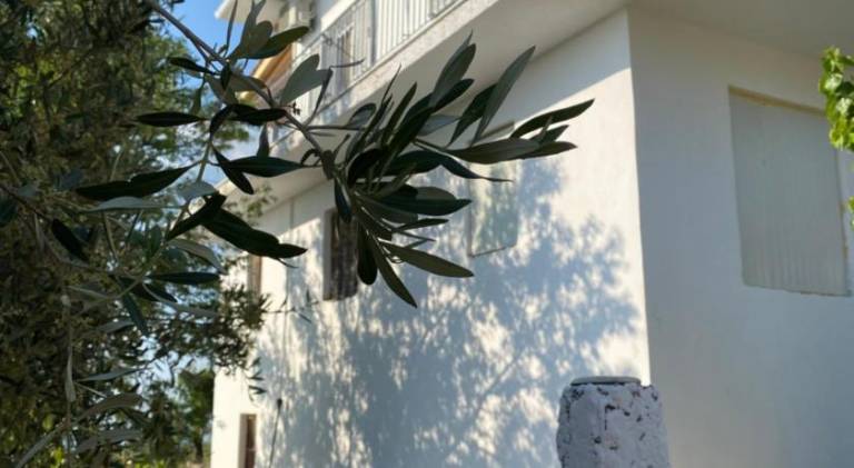 Vacation home | Pets allowed — photo 4