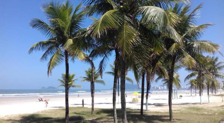 Rental apartment | Close to the beach | Pets are welcome — photo 4