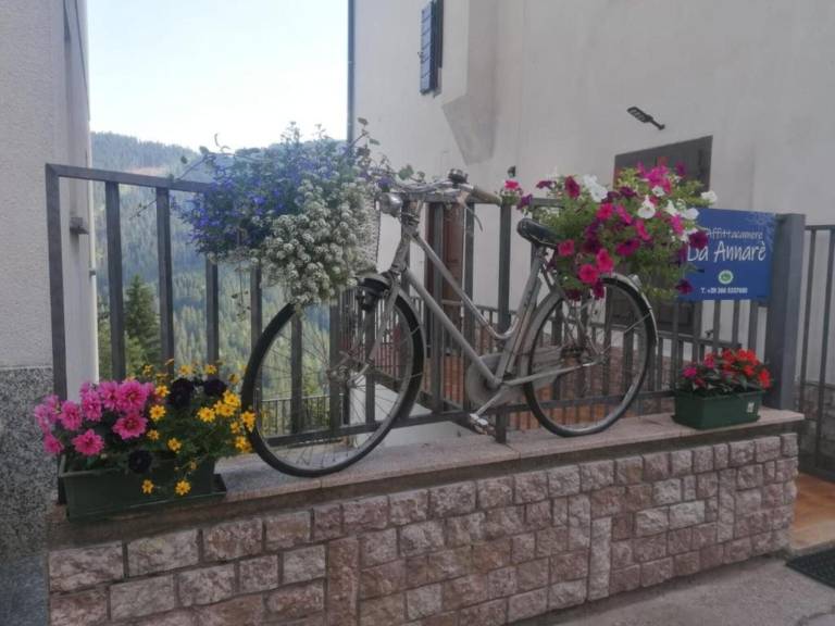 Appartamento Danta di Cadore