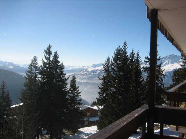 foto11