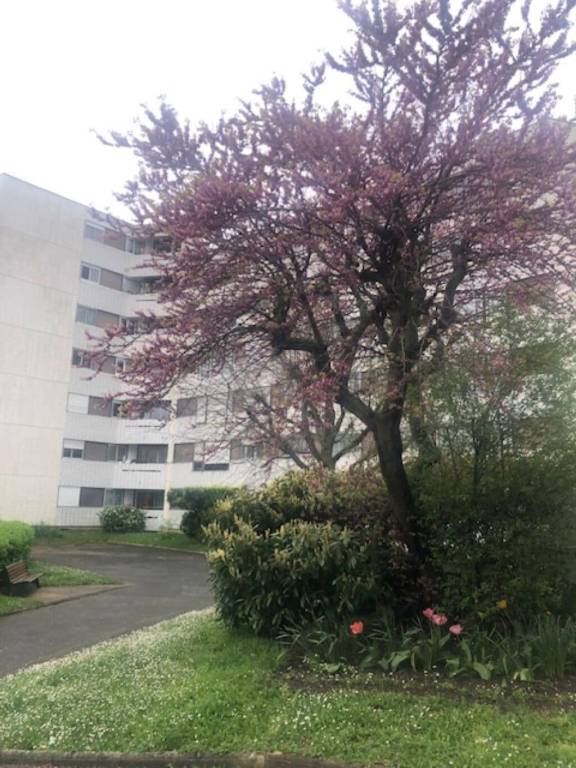 Appartement Chatou