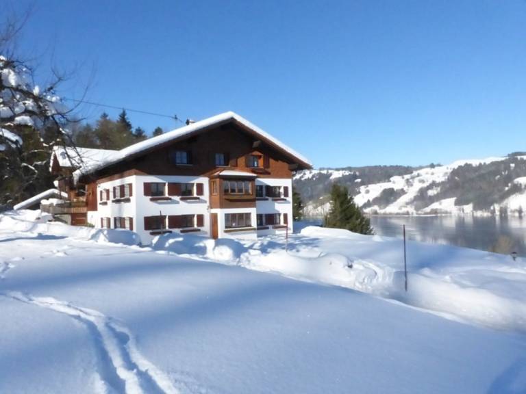 foto31