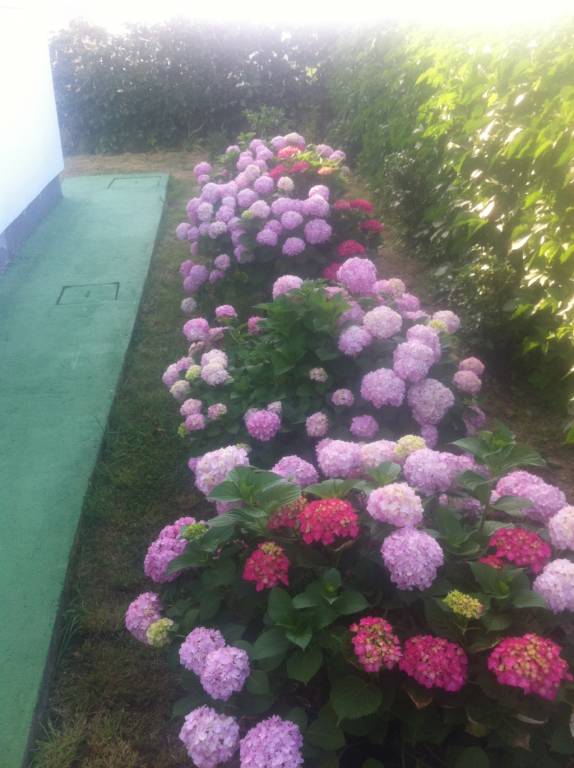foto12