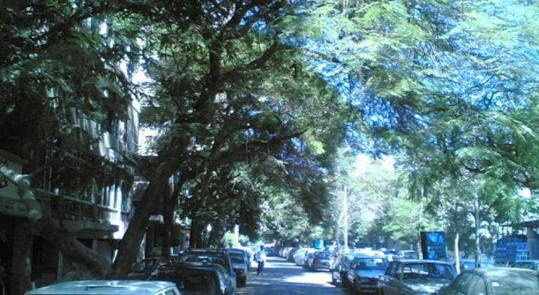 foto17