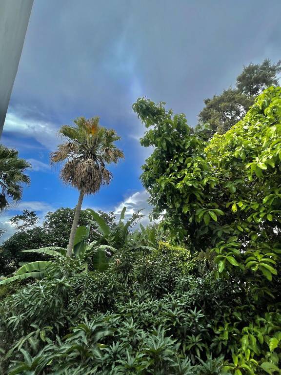 foto49
