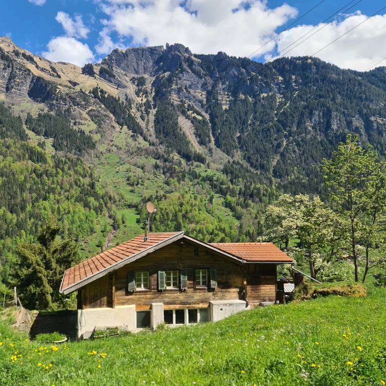 Appartement Wengen