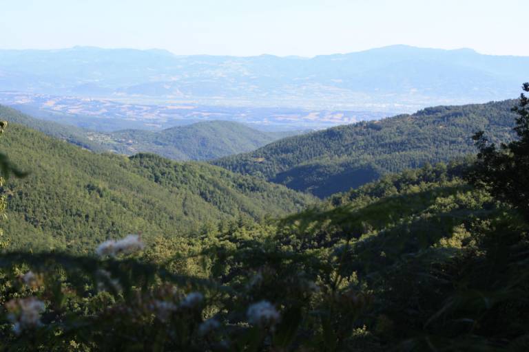 foto36