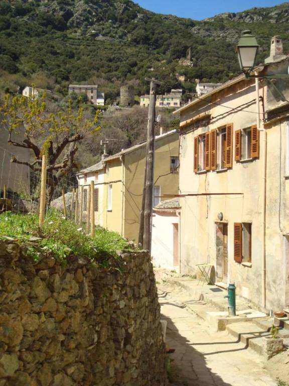 Maison de vacances Centuri
