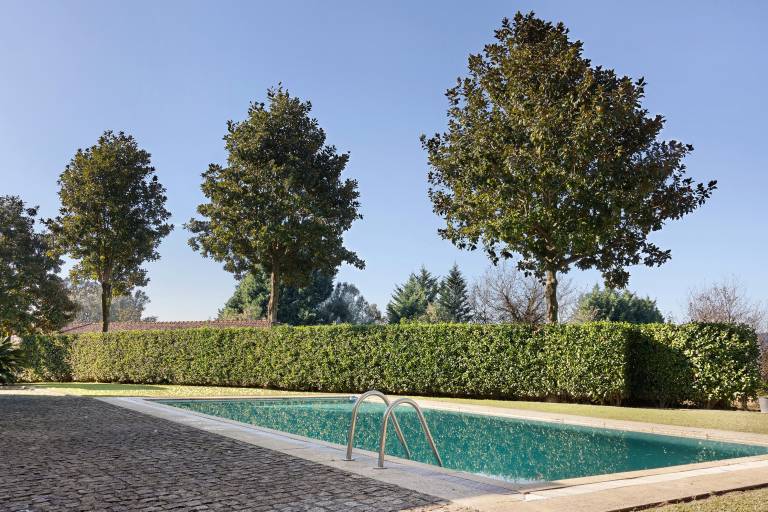 Fully equipped finca with garden, private pool & fast internet | Mountain view | Good for workation | Pets are welcome — photo 4