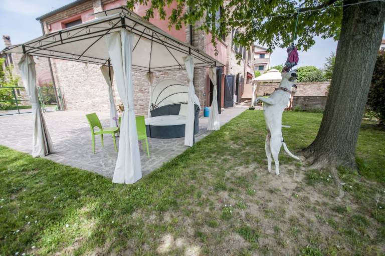 foto21