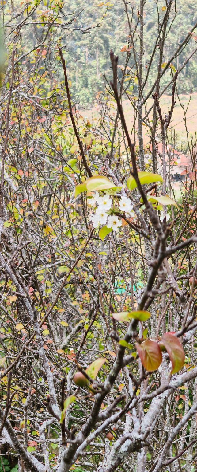 Winter fall — photo 4