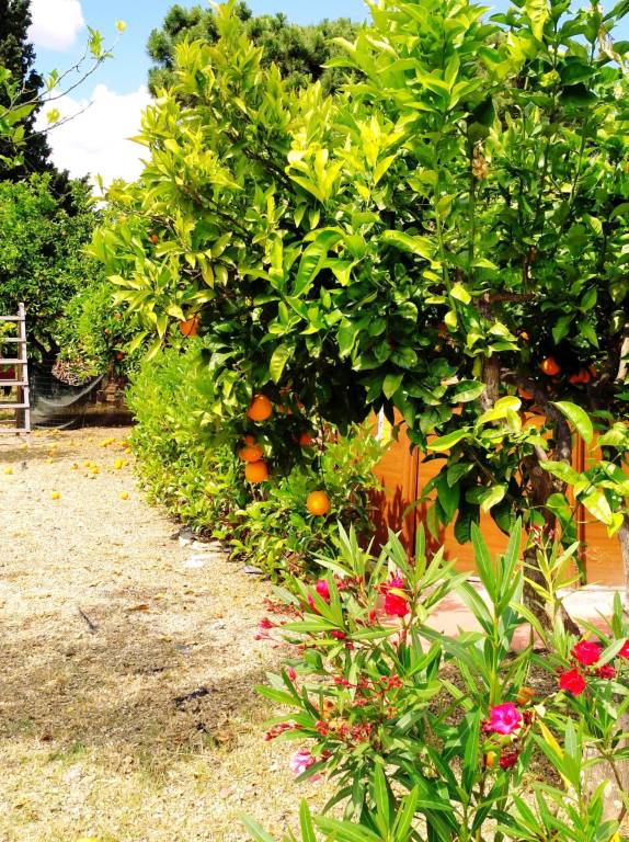Bauernhof in Mongiove, Tindari f&uuml;r max. 4 Personen, 