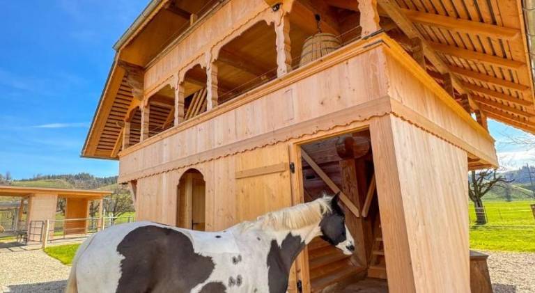 Ferienhaus Emmental