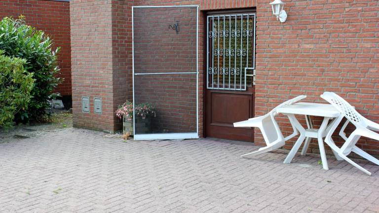 foto2