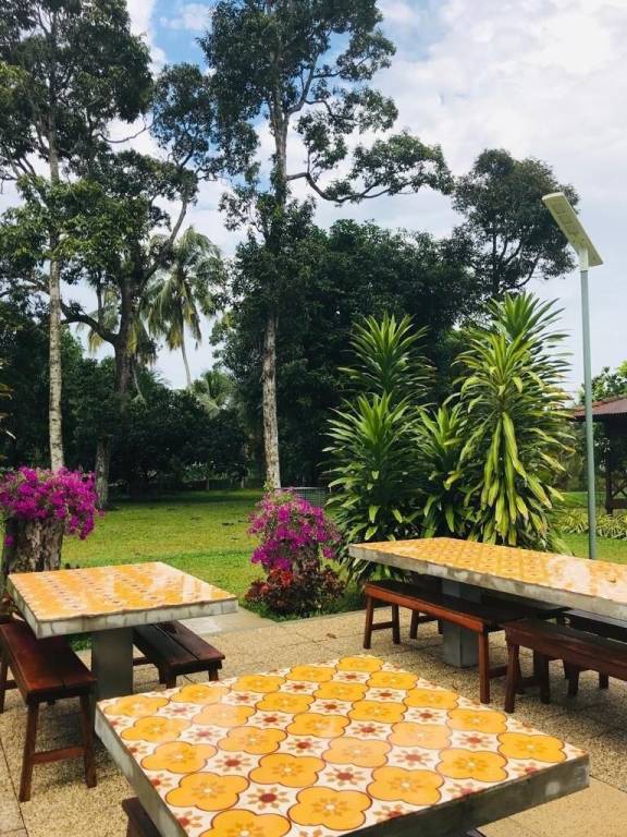 foto5
