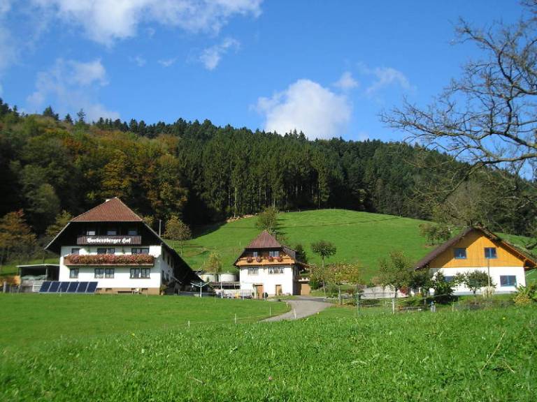 foto17