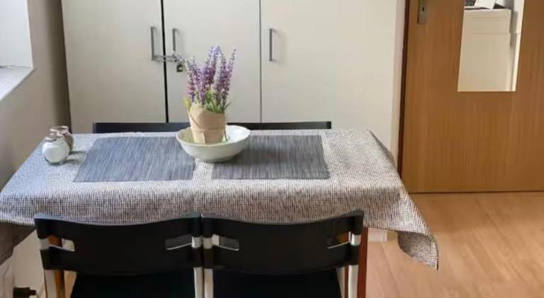 Pleasant rental apartment | Near Hlavné námestie | Suitable for remote work | Pet-friendly — photo 5