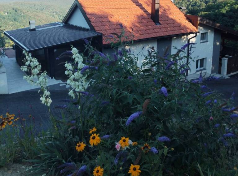 foto27