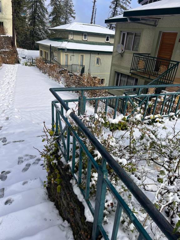 House with garden — photo 5