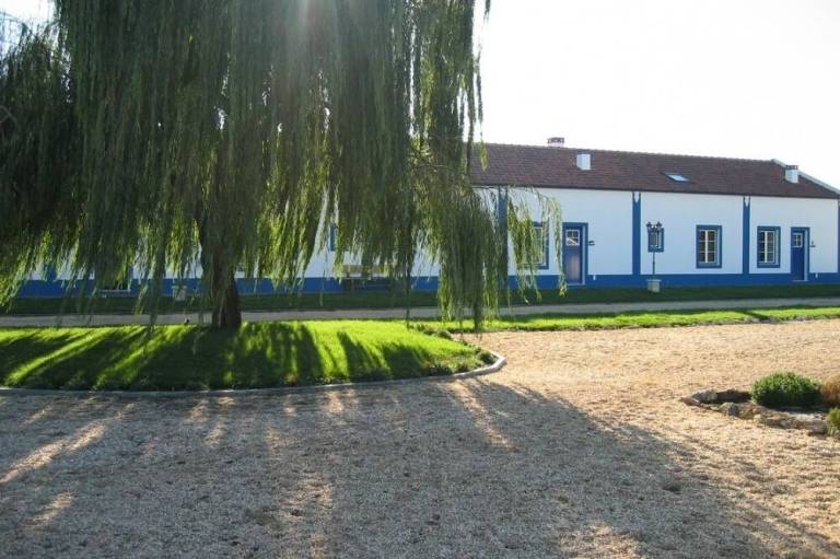 foto13