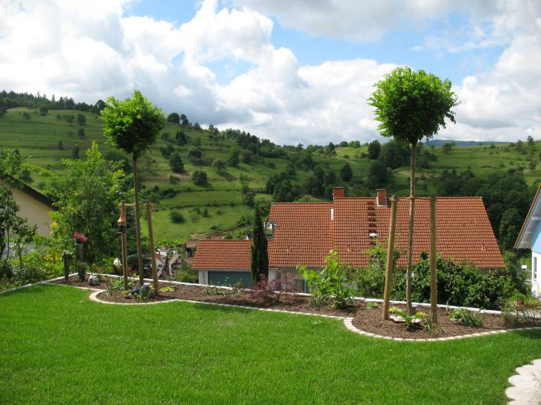 foto16