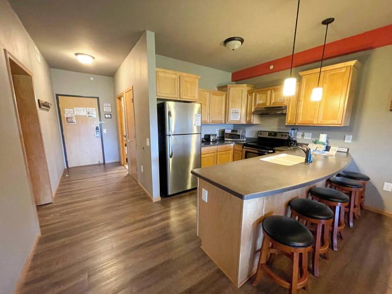 Condo  Wisconsin Dells