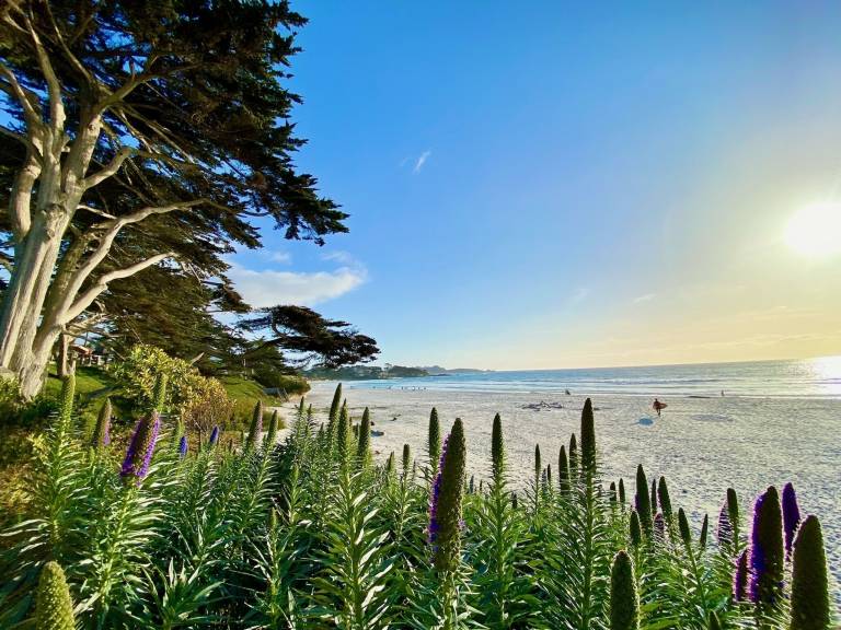 House Carmel-by-the-Sea