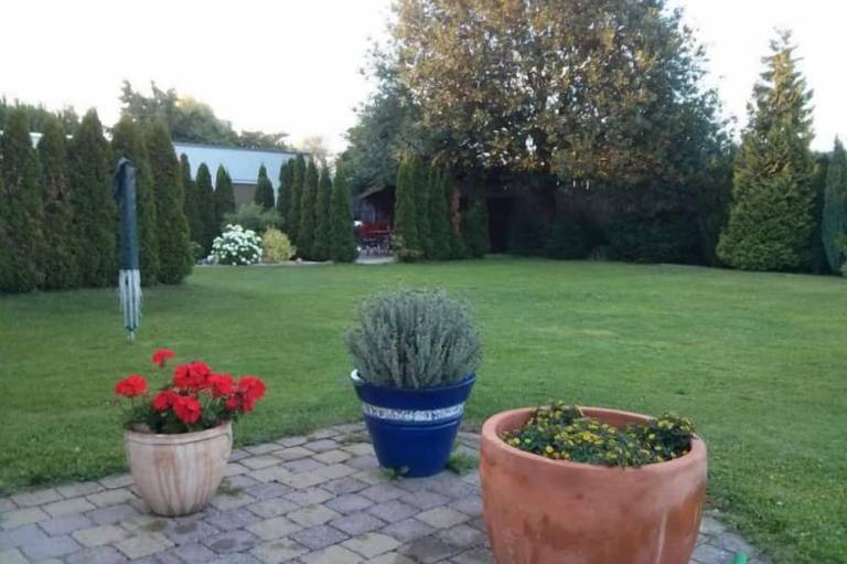 foto8