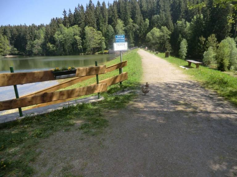 foto23