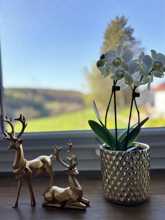 foto29
